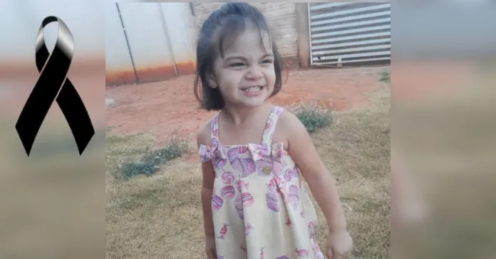 Descanse em paz Maria Luiza 💔🥺 Ela tinha 4 anos e perdeu a vida fazendo o que muitas crianças fazem todos os dias…Ver mais