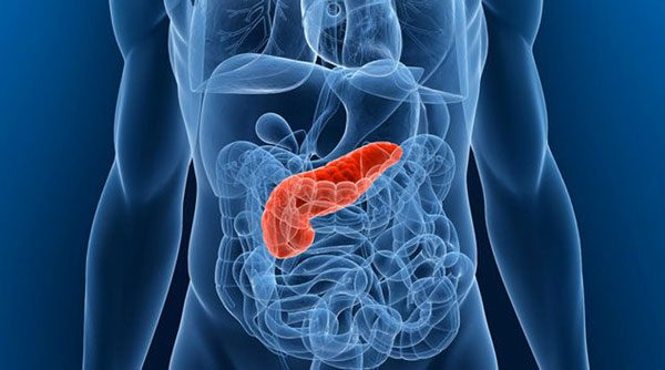 15 sint0mas que p0dem ser SINAL de Câncer no pâncreas que Muitos Sent… Ver Mais